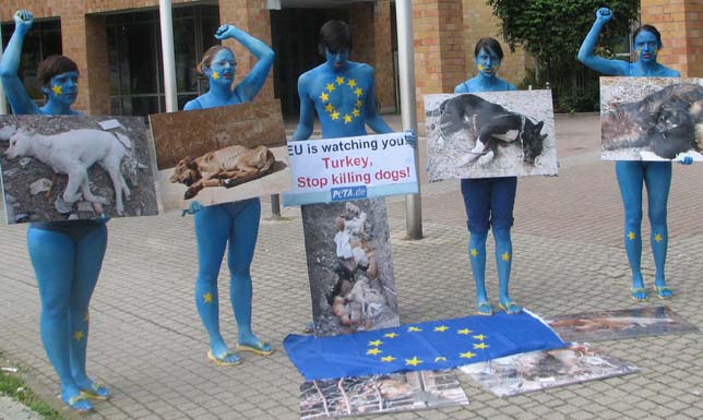 Türk köpekleri için Almanya'da eylem