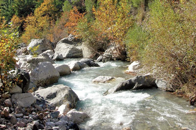 'Alakır korunmalı'