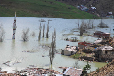 Koyverduk seni 'Gelivera'