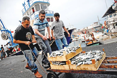 Gırgırcı: Bittik Çevreci: Başladık