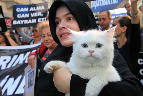 Hayvanseverlerin öfkesi sokağa taştı