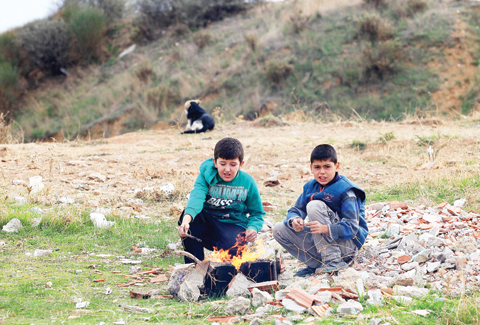 Hazine arazisine bile zehir gömdüler