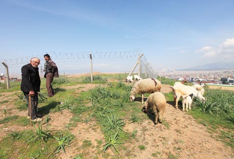 Radyasyon fabrikanın dışına taştı