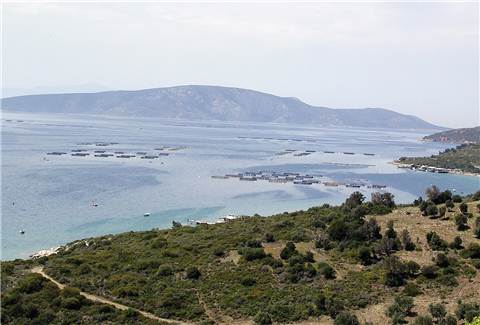 Karaburun'a iyi bak!