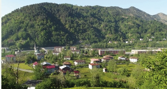 35 köylünün kömür zaferi