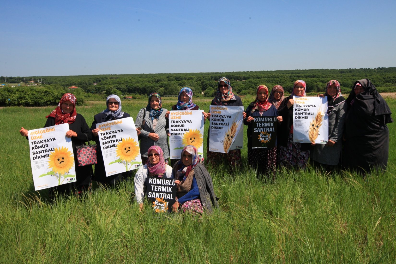 Bu termik santral yapılırsa 250 bin ağaca veda edeceğiz!